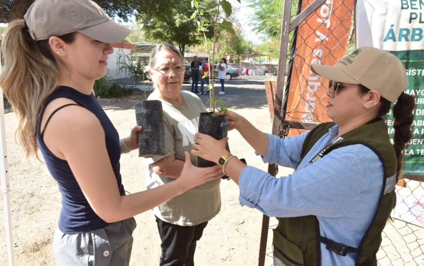 Gobierno de Hermosillo invita a jornada de entrega gratuita de árboles nativos
