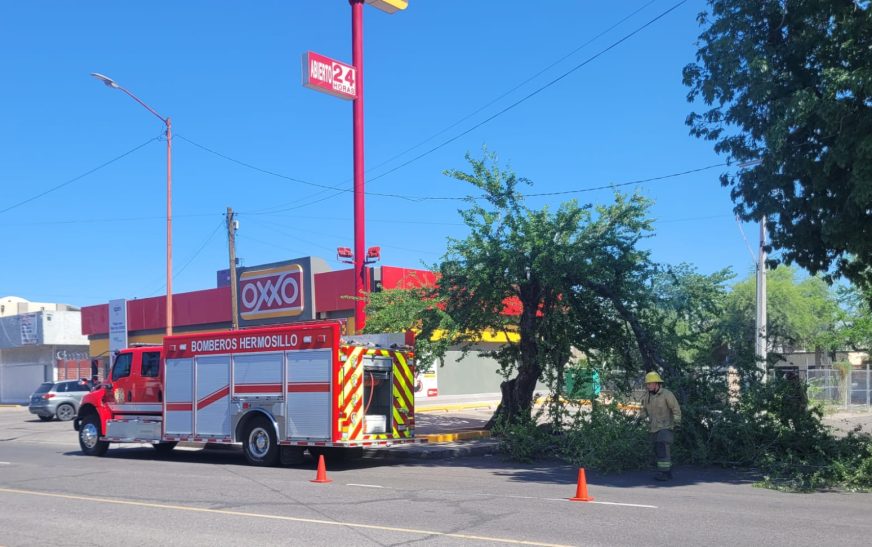 Atiende Gobierno Municipal reportes por lluvias