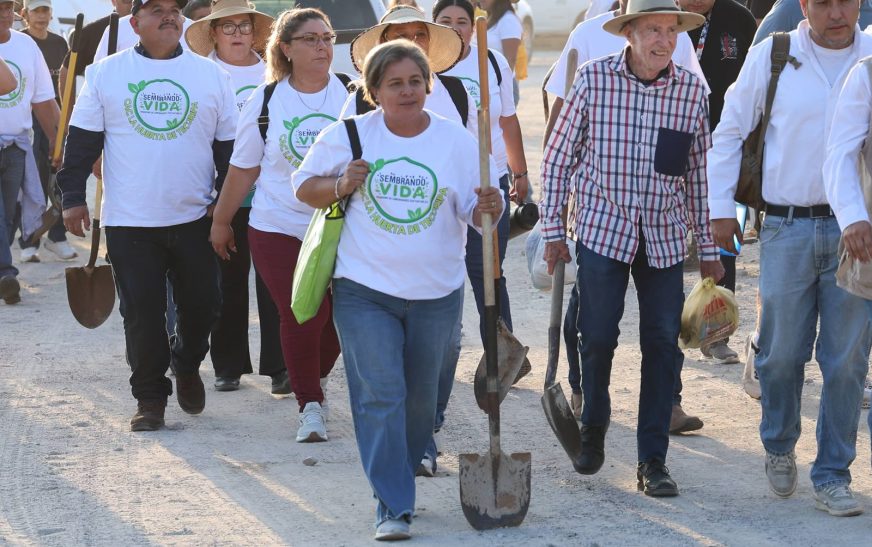 Se suma Sonora a Jornada Nacional de Reforestación